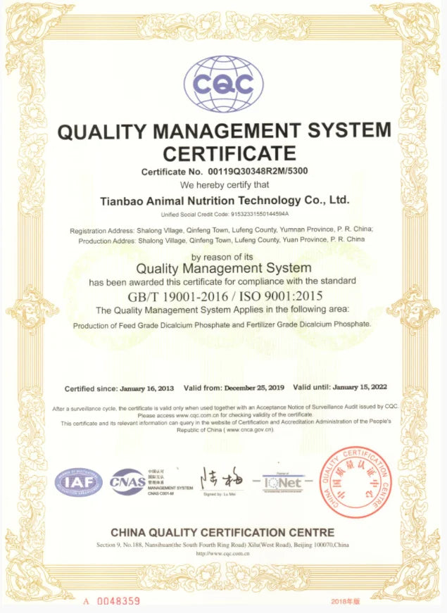 VQYSKO Beveled Three Zircon Bracelet Stainless Steel Clasp Bracelet Women's Jewelry Valentine's Day Gift Give For Her